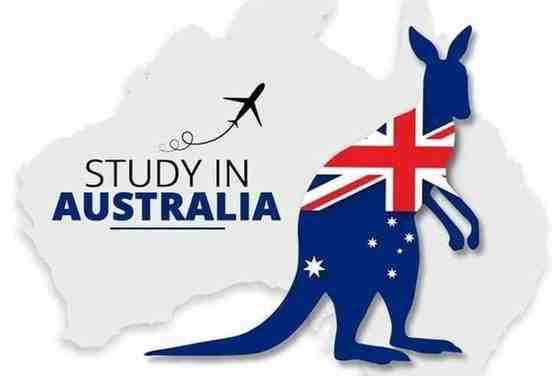 Canguru com o texto Study in Australia representando oportunidades de bolsas de estudo totalmente financiadas na Austrália